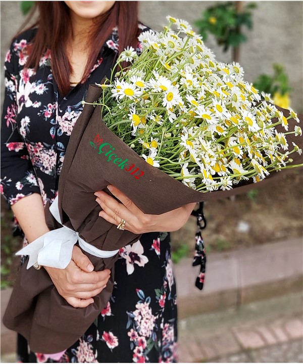 Kuçak Dolusu Kır Papatyası Demeti