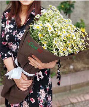 Kuçak Dolusu Kır Papatyası Demeti