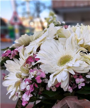 Paşabahçe Vazoda Beyaz Gerbera ve Hüsnü Yusuf